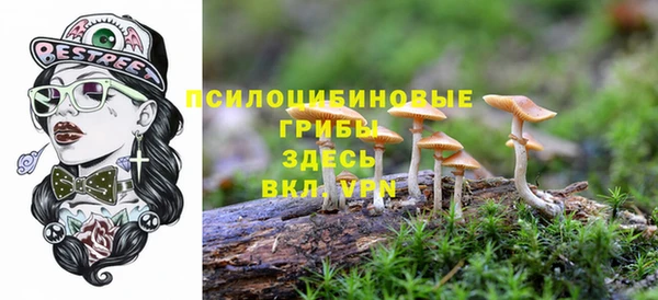 первитин Инта