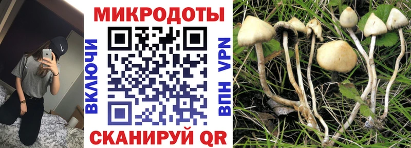 наркошоп  Краснообск  Псилоцибиновые грибы GOLDEN TEACHER 